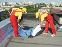 За ризоліном - майбутнє - Журнал Кровлі матеріалу
