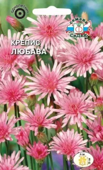 3825 - Крепіс Любава рожевий - Крепсис - Регіональний центр Садівник любава