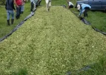 агротехніка