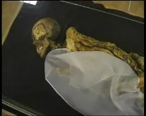 Алтайська принцеса плато