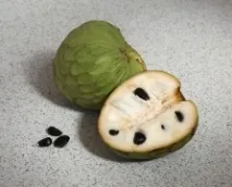 Annona cherimola (Анона Черімойя) annona
