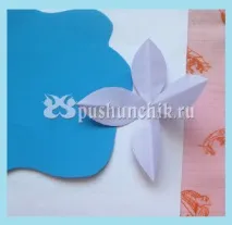 Аплікація латаття латаття