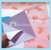 Аплікація латаття його