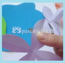 Аплікація латаття його