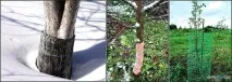 АПК - Вітус - Захист саду від гризунів захист