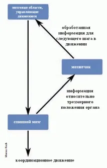 Bee-Book - Розсіяний склероз у фокусі розсіяний