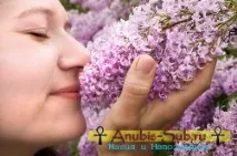 Яснонюх. Запахи із духовного світу запахи
