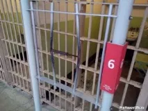 Алькатрас