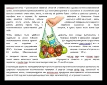 Як зробити обтікання картинки текстом у PowerPoint зробити