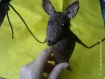 миша