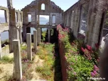життя