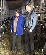 Бі-бі-сі, Економіка, Естонських корів лякає розширення ЄС лякає