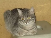 Your description goes here goes