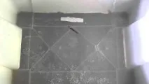 Блешня торпедка Відео! Відео серфінг відео