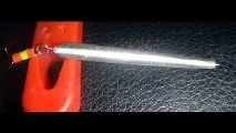 Блешня торпедка Відео! Відео серфінг блешня