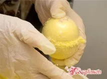 країна