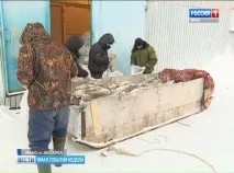 рибовъдство