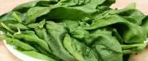 Чим корисний шпинат Користь та застосування шпинату в кулінарії шпинат