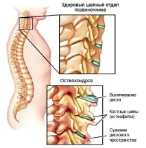 имате