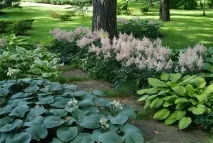 КВІТНИКИ - ТЕРИТОРІЯ ЛАНДШАФТНИХ РІШЕНЬ GREEN PARK квітники