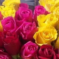 День Святого Валентина - Свята у Британії свята