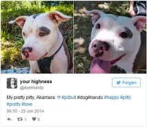 залишила