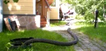 Як зробити вигрібну яму з бетонних кілець бетонних