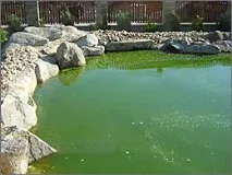 воду