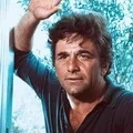 Фал 5 букв - пошук слів за маскою та визначенням, відповіді на сканворди слів