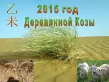 Фен шуй прогноз, кому пощастить у 2015 році пощастить