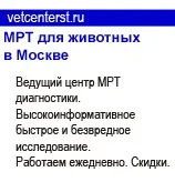 Гемобартонельоз, або інфекційна анемія кішок інфекційна