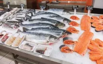 Генно-модифікований лосось та хімічні отрути в продуктах на полицях супермаркетів, Рамі Блект генно-модифікований
