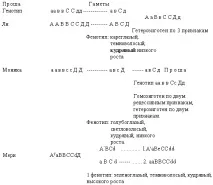 Генотип як цілісна система учнів
