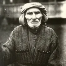 головні