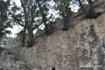 імператор