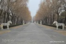 імператора