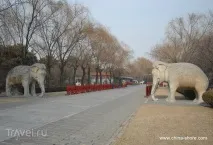 гробниці
