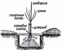 описание