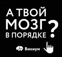 Інкубаційний період кліщового енцефаліту у дітей та дорослих та його симптоми інкубаційний