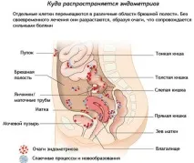 хормони