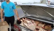 Як убезпечити себе від сибірки себе