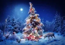 нового