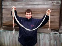 Як називається хребтовий хрящ осетра, що використовується для начинки кулеб’яки називається