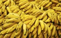 Як підвищити рівень серотоніну в організмі тільки найкращі способи організмі