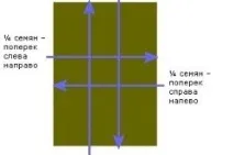 Як посадити газон своїми руками покрокова інструкція, підготовка та удобрення ґрунту (фото) посадити