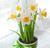 продовжити