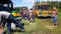 Як збирають полуницю у Башкортостані - Мир у фотографіях збирають