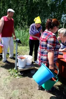 Як збирають полуницю в радгоспі Башкирії, Цікаві новини башкирії