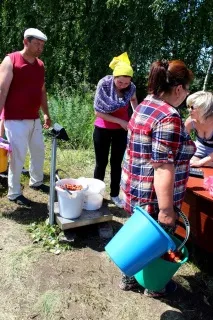 Як збирають полуницю у Башкортостані - Мир у фотографіях ягоди