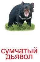 Картки Домана навчання
